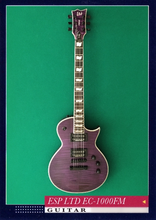 ESP LTD EC-1000FM