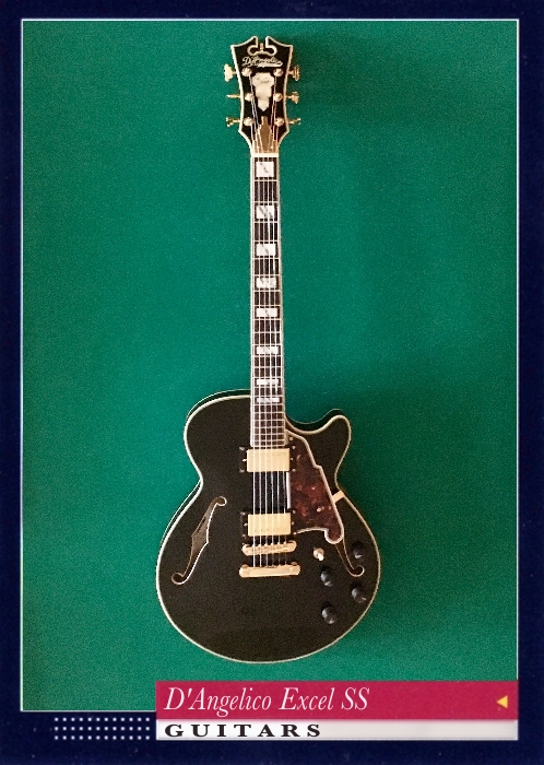 D'Angelico Excel SS